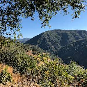 Camp Heather in Tuolumne City