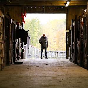 The stables are home to 40 friendly and sweet horses.