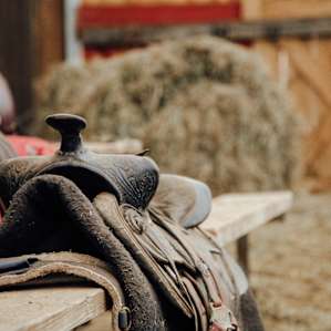 Saddles galore.