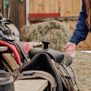 Choosing a saddle.