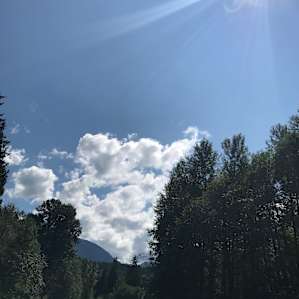 Looking up the river.