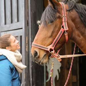 Liberty is such a gentle draft horse. I felt very safe standing near her and petting her while she was being groomed.
