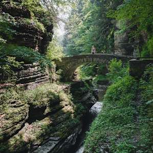 Hiking the Gorge Trail and the Rim Trail at Robert H. Treman State Park.