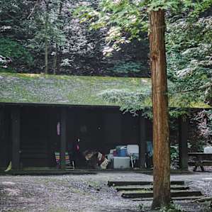 Cabins at Robert H. Treman State Park in Ithaca, NY.
