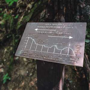 Hiking the Gorge Trail at Robert H. Treman State Park.