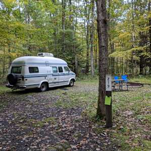 Campsite T219.