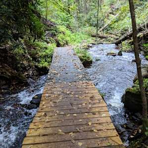Hiking Tillman Ravine trail. The wood bridges are VERY slippery when wet.