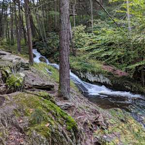 Hiking Tillman Ravine trail.