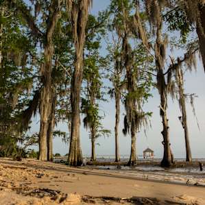 Fontainebleau State Park has a beach on Lake Pontchartrain.