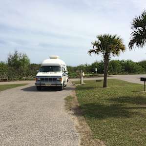 Palm trees adorn the campsites at Grand Isle State Park campground.