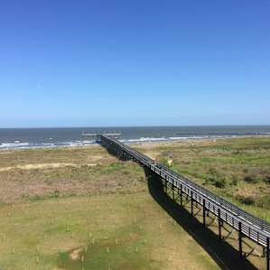 View from the observation tower at Grand Isle State Park campground.