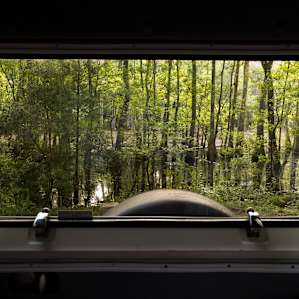 A nice view from the rear of our camper van in our campsite.