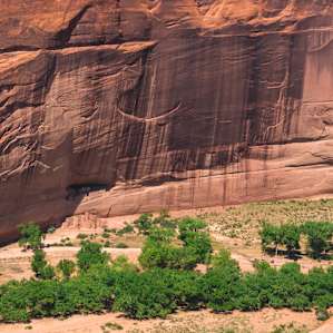 Can you spot the cliff dwellings?