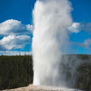 Old Faithful.