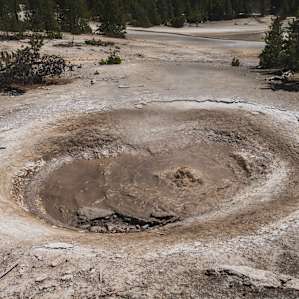 The mud pots at Artists Paintpot