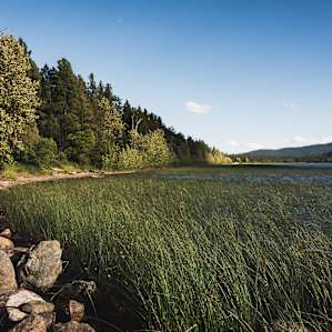Lake Mary Ronan.