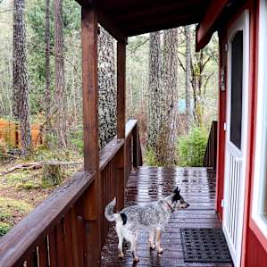Little Red Cabin by Mt. Rainier