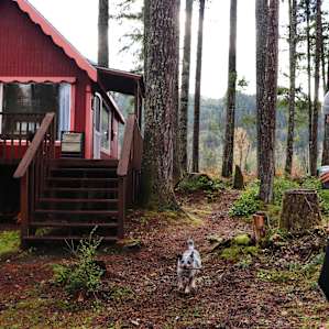 Little Red Cabin by Mt. Rainier
