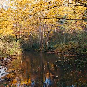 Kuykendall Creek