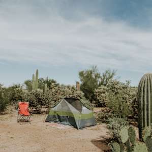 Dale's property has a huge variety of cacti which I really enjoyed, even if I did get a few prickers now and then!