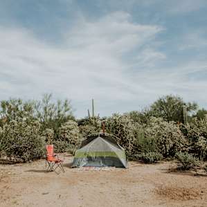 One of the cleared campsites amongst the cacti.