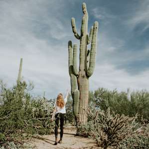 Human for scale. Check out these giant cacti!