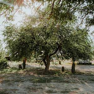 Adventurous glamping in Wild West