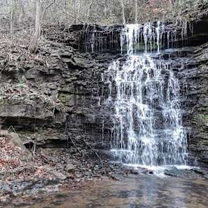 Cove Springs Park close by for a nice hike.