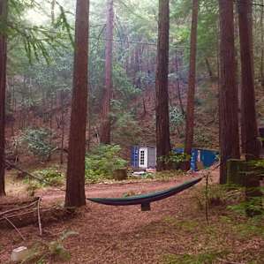First Mosquito netted hammock ❤️ for lounging!