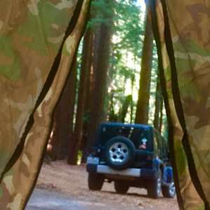 From inside our tent to the out of doors beauty...