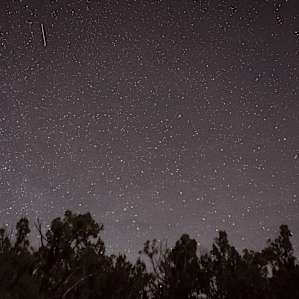 The starry night was epic! Tons of shooting stars too :)