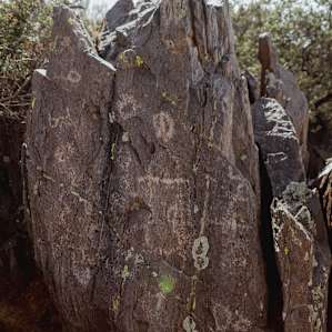 Petroglyphs on the property!