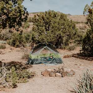 This is a huge property and there's tons of great flat tent sites! Donna even made a fire ring for you and there's plenty of wood to burn.