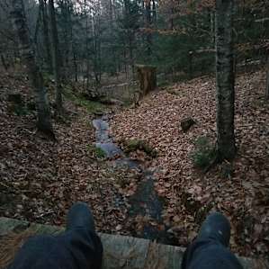 Looking over the edge of the platform at the stream flowing underneath.