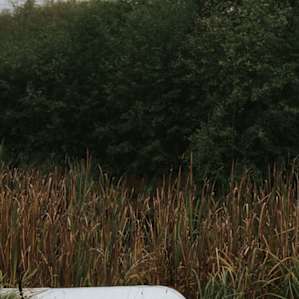 Little boat by the pond on the property