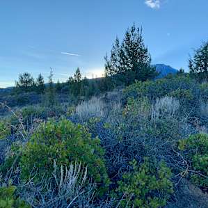 Mt. Shasta 360