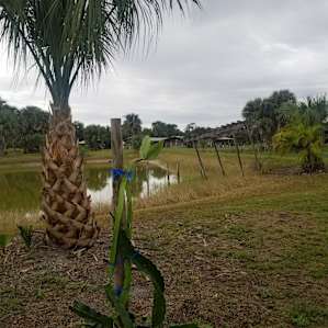 Pond at our campsite