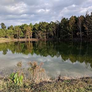 Pond 2