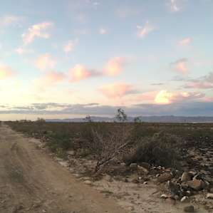 Yaqui Offgrid Camp and Cottages