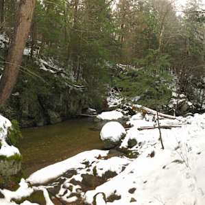 The water