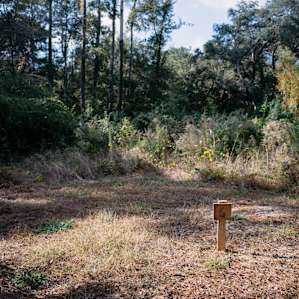 This site also would've been a top contender. Pretty spacious and flat ground. Pretty close to the fire/kitchen/bathroom.