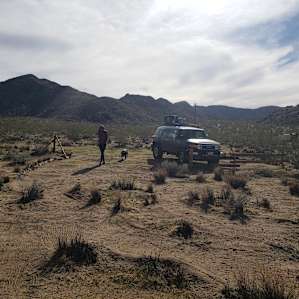 CAMP COYOTE ACRES