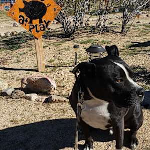 CAMP COYOTE ACRES