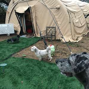 Hi-Tech Quonset Hut Luxury Camping