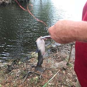 Fished all weekend
