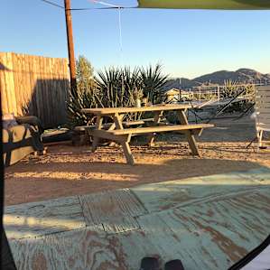 View from avocado deck