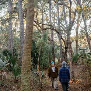 Huge and beautiful forests on the property.