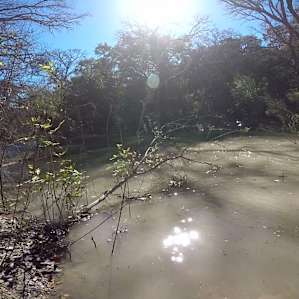 Braun Oaks Campground