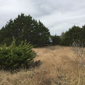 Tucked away among the trees...