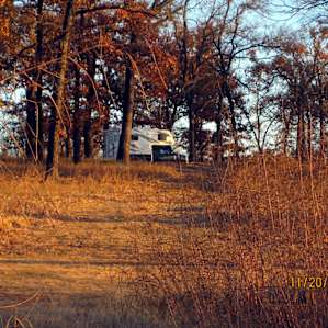 Oak/Hickory savanna throughout the campground
